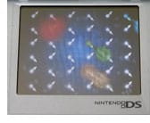 Backstage: Nintendo DS as iPod games inspiration?