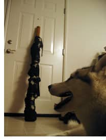 Backstage: Me, my dog, and my didgeridoo (aka The Explanation)