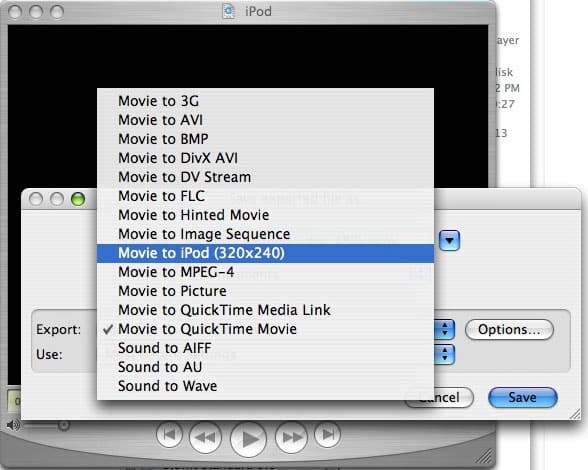 iPod-Ready Videos? Not So Fast, and Not So Clear