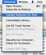 iPod, iTunes updates hide major new features