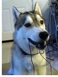 Passing on Paris &amp; other notes