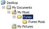 Moving an iTunes library to a new computer