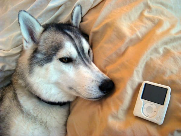 How’d They Do It? 3G nano Cases From Rumors or Inside Info