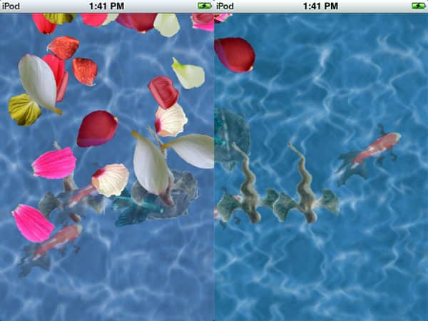 Review: Petal Pond by Tulsi Mayala