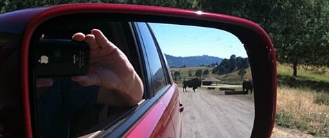 Photo of the Week: iPhone in Oregon