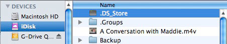 Review: Apple MobileMe iDisk