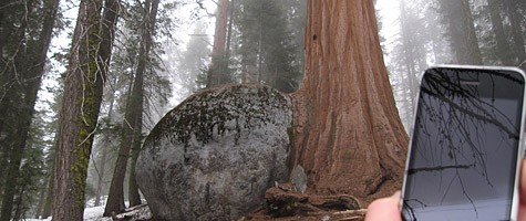 Photo of the Week: iPhone 3GS in CA