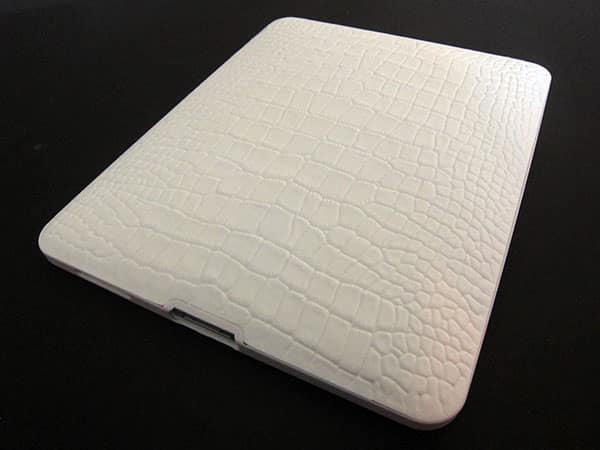 First Look: SwitchEasy Reptile for iPad