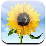 Clearing out your iCloud Photo Stream