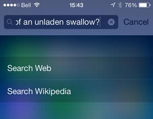 Search the web from your iPhone home screen