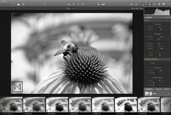 Macphun Software Tonality