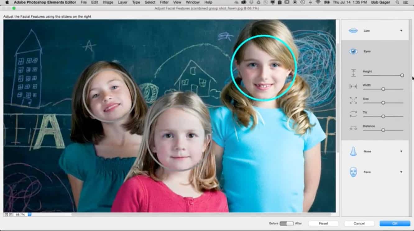 Adobe Photoshop Elements 15 + Premiere Elements 15 Bundle