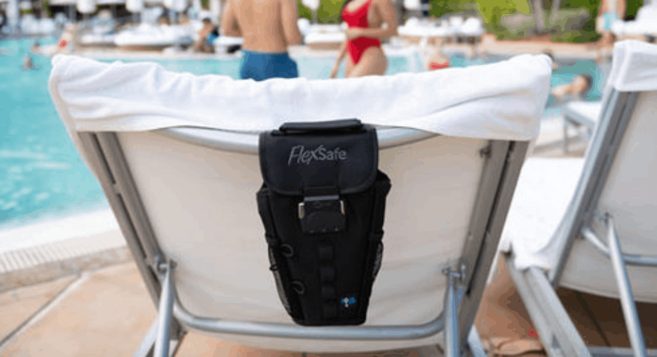 2019 FlexSafe Portable Travel Safe