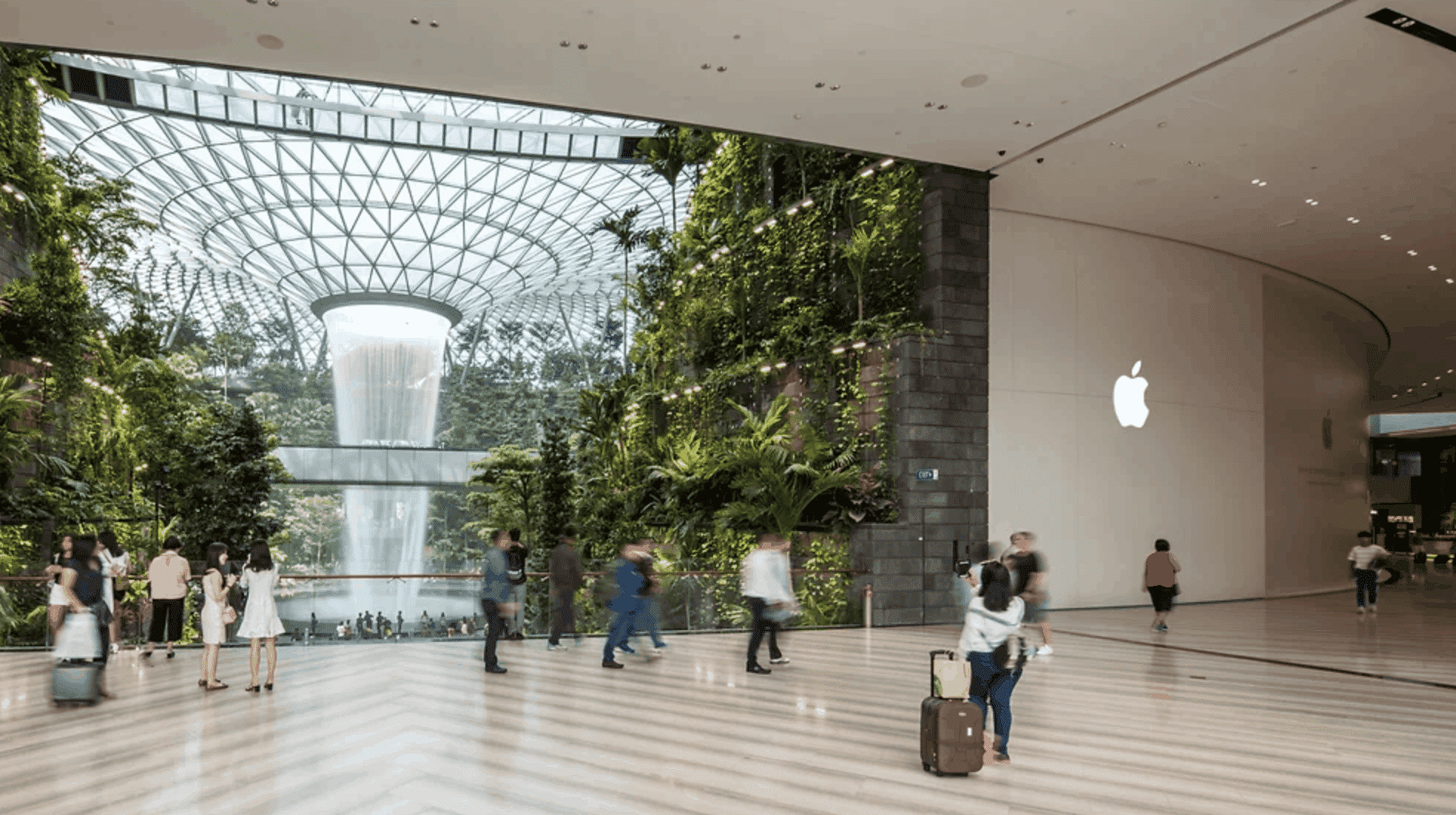 Apple Jewel Changi Airport in Image