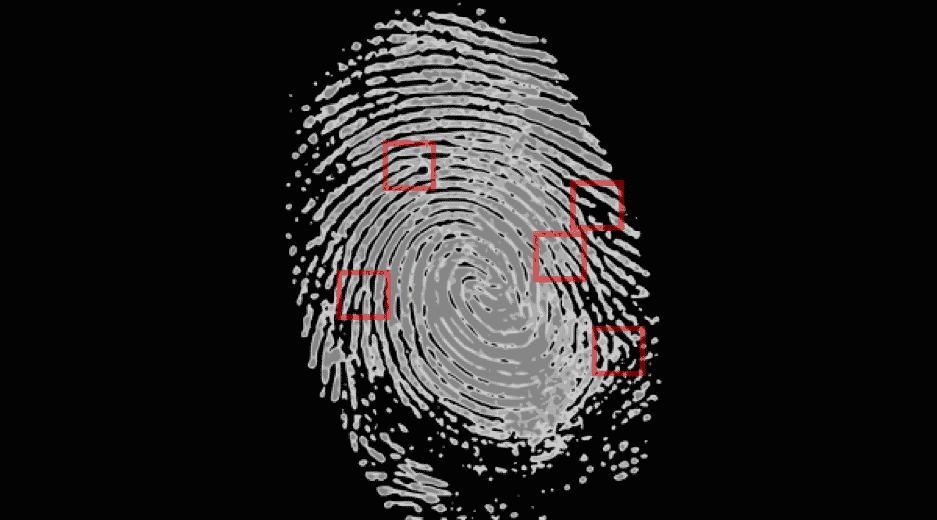 Make your Fingerprint Scanner extremely accurate on Android