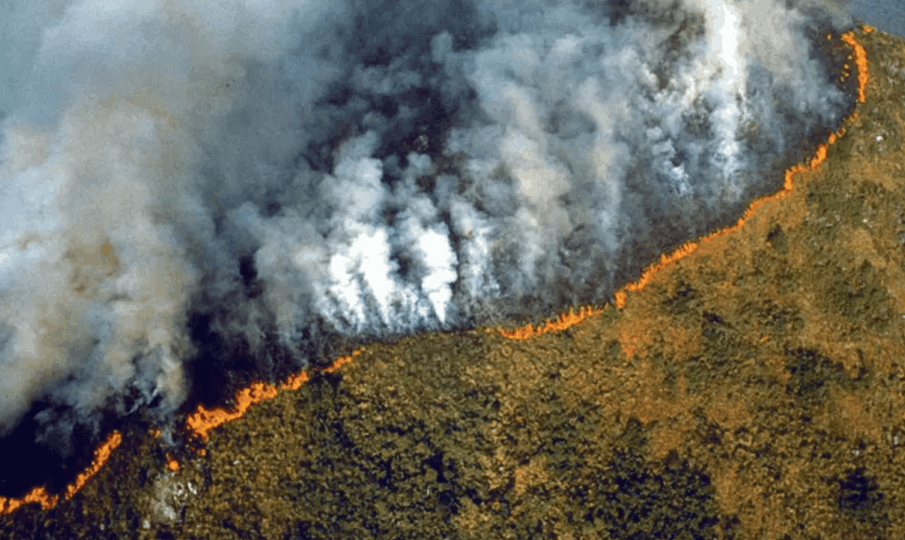 amazon rainforest fire