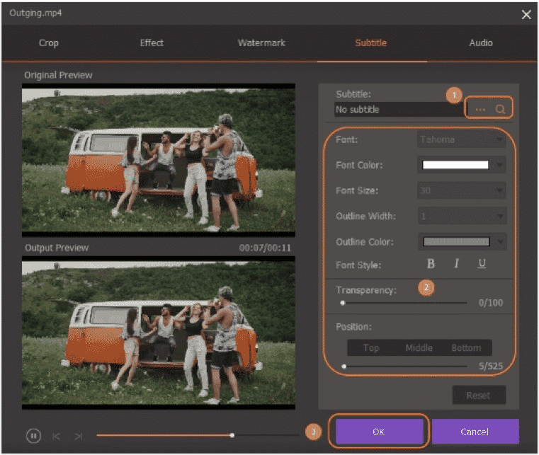 Choose subtitle and its parameters