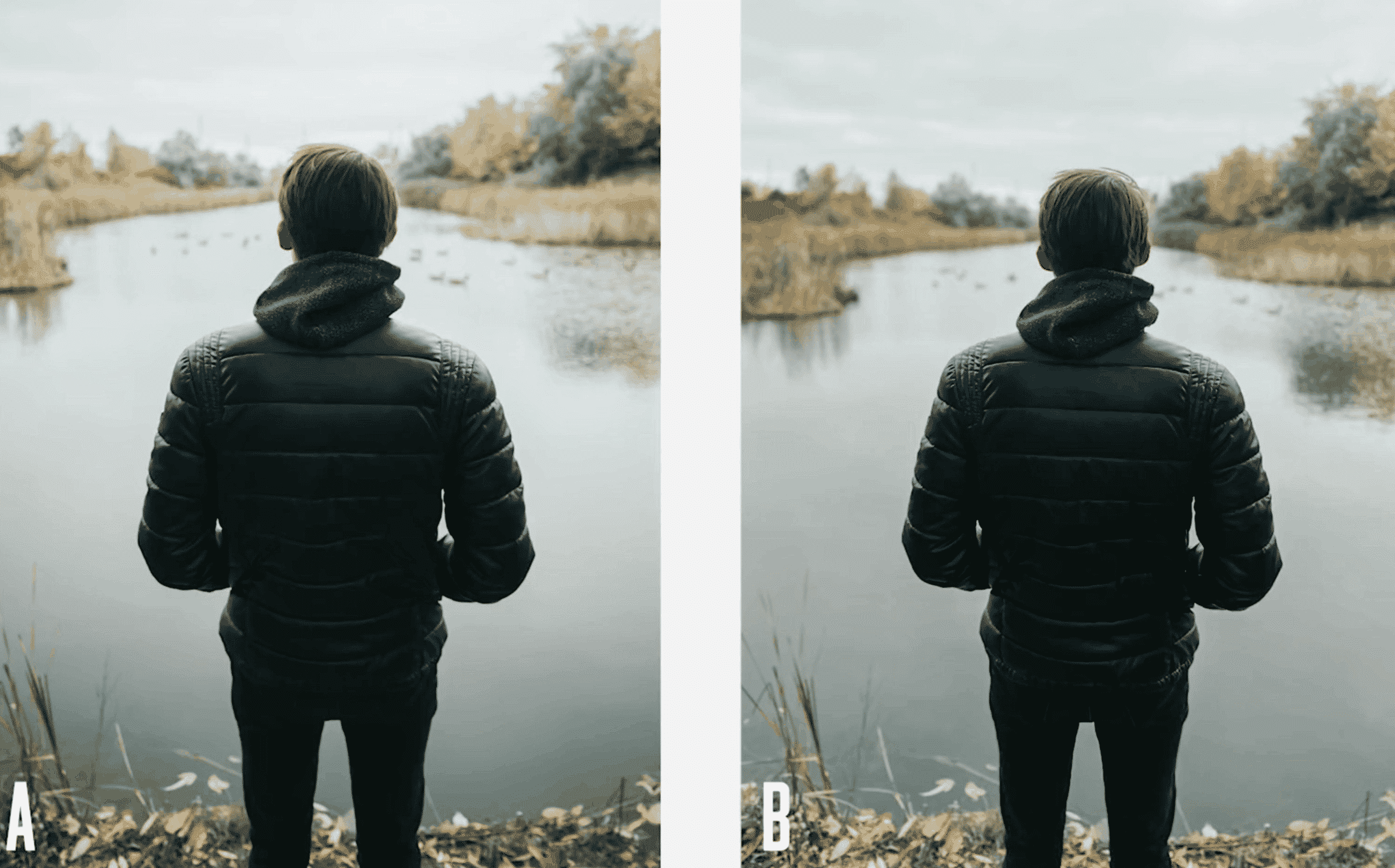 New YouTube Video Compares the iPhone 11 Pro's Camera Versus a Canon DSLR