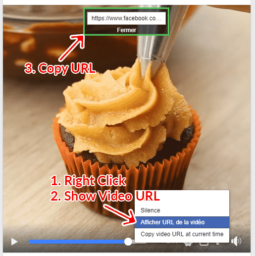 How to Download Facebook Videos Online