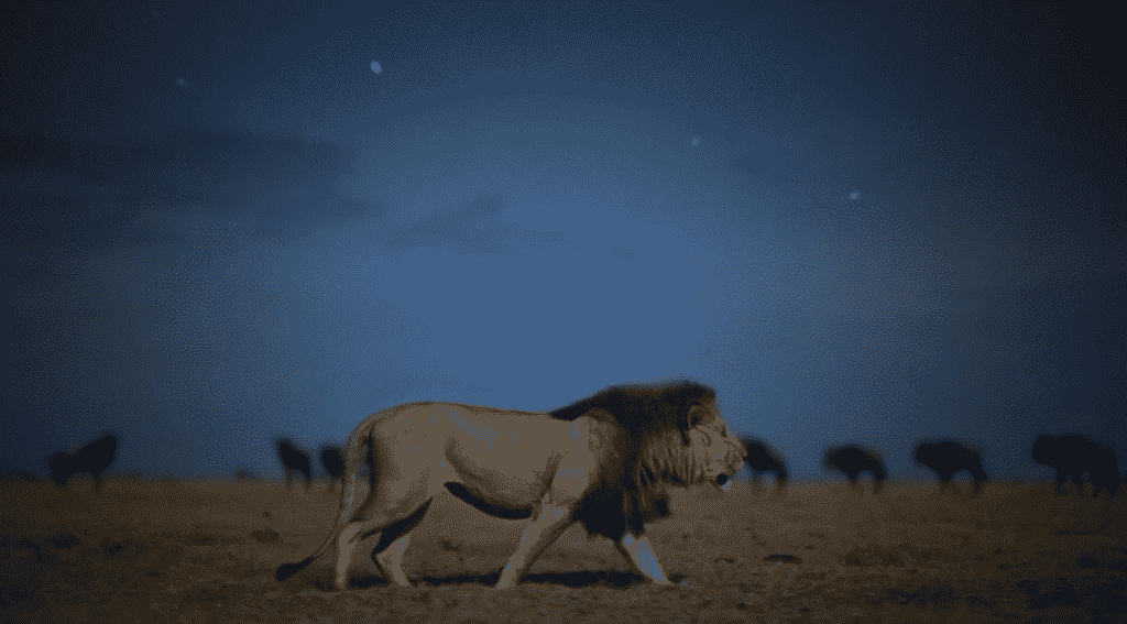 Apple TV+ Gains three new documentaries, out this fall