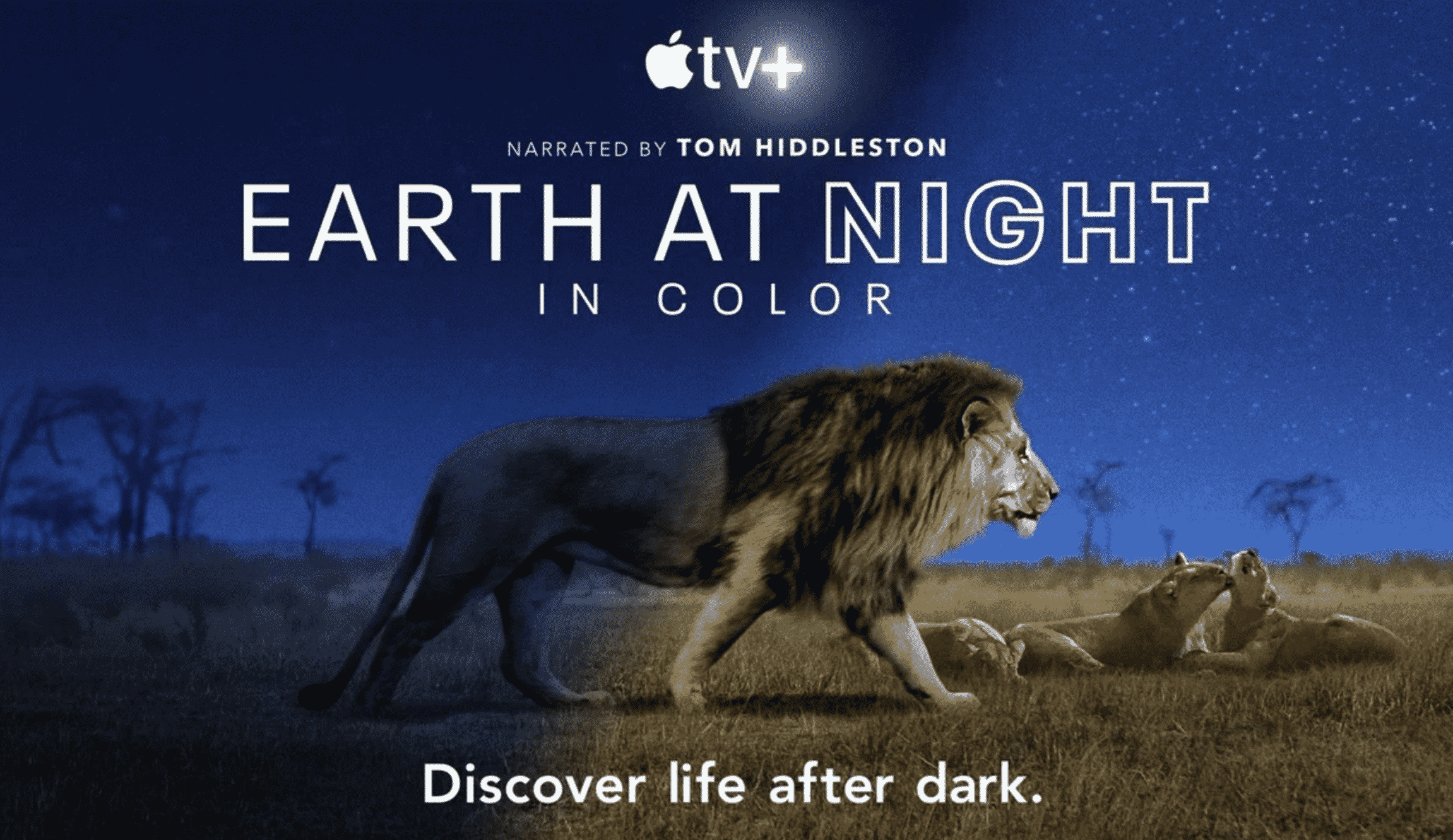 Earth at Night in Color