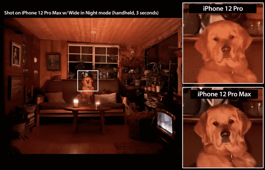 iPhone 12 Pro Max image taken of a dog.