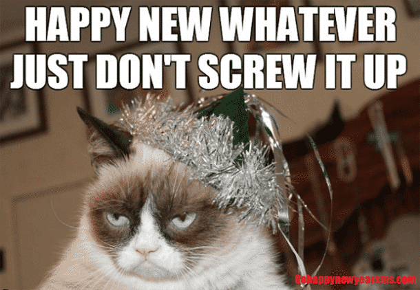 Angry cat meme regarding a happy new year