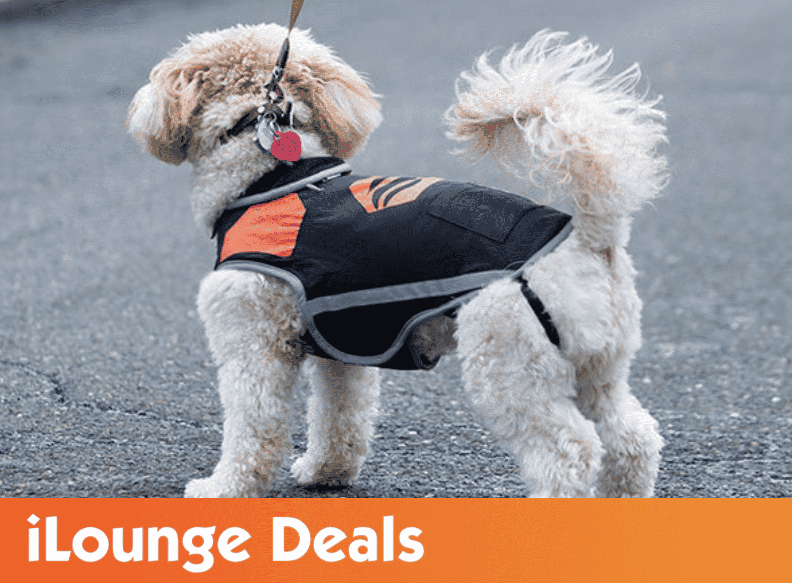 Waterproof Heated Dog Vest
