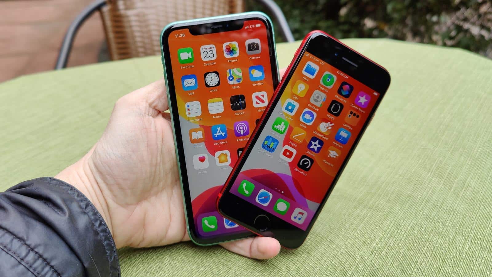 iPhone SE or iPhone XR