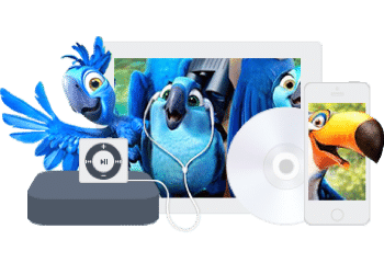 Convert to Any Format You Wish