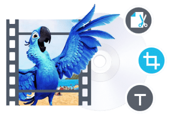 Edit Videos Easily In-Program