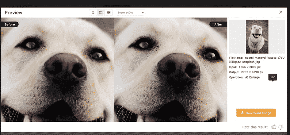 How to Enhance Image Quality with Vance AI