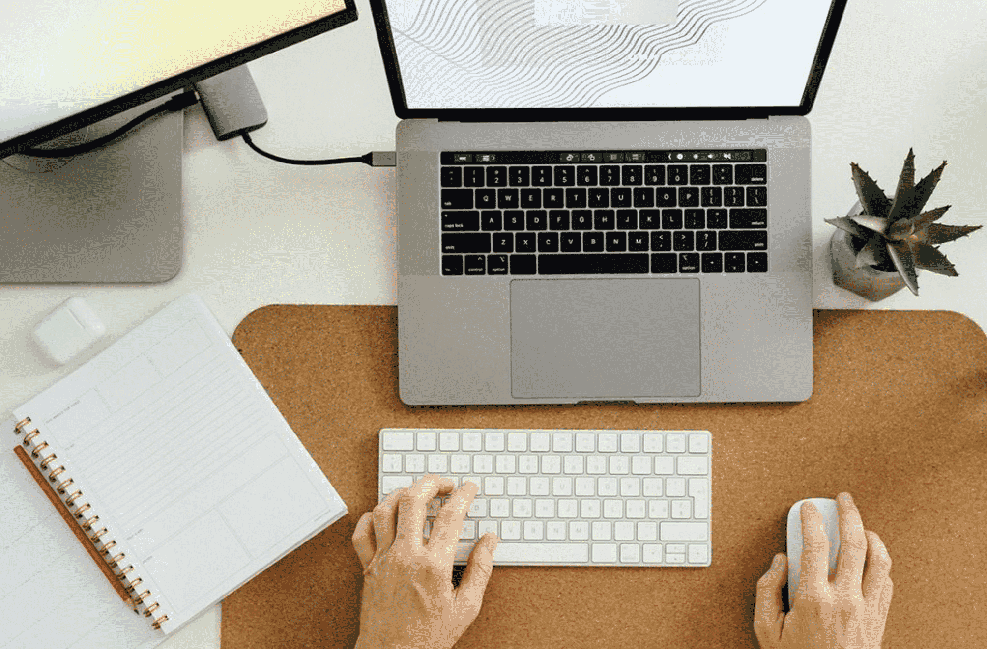 Doratoon Review Is It Worth It?