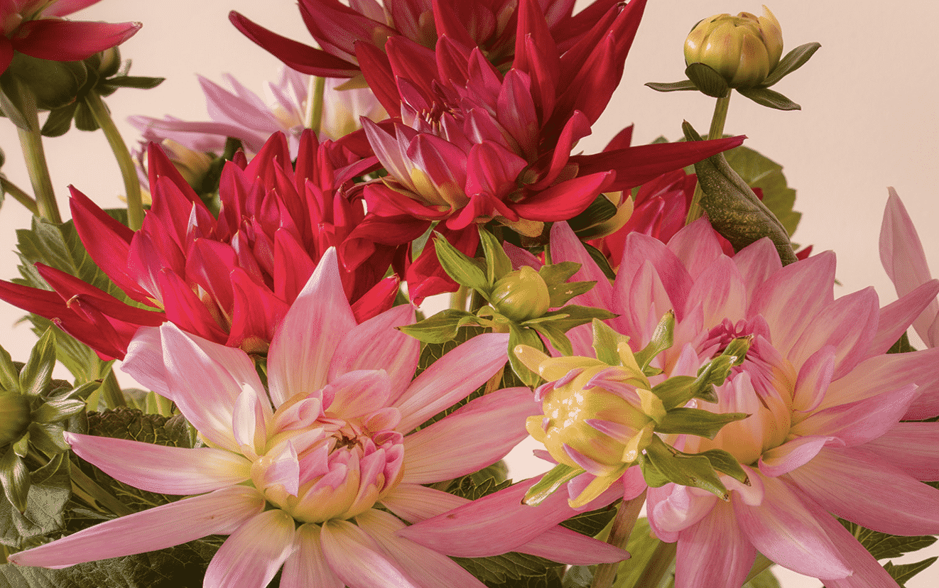 How Flower Delivery Has Changed With The Internet