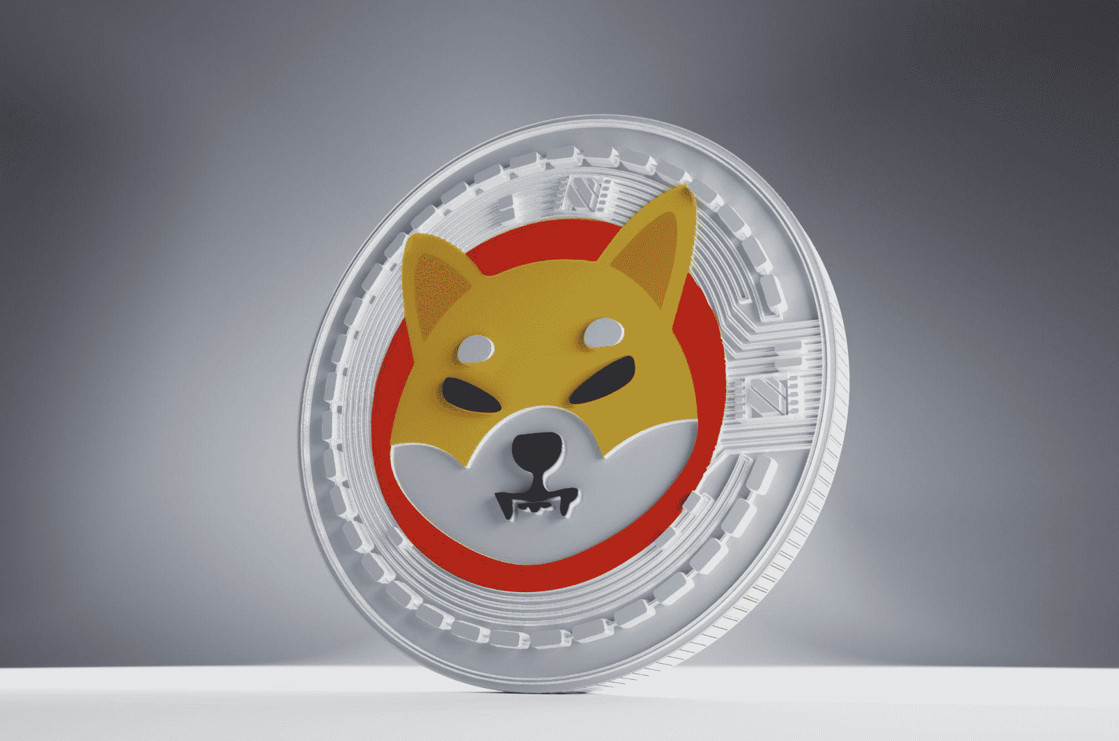 Is SHIBA INU A Good Investment?