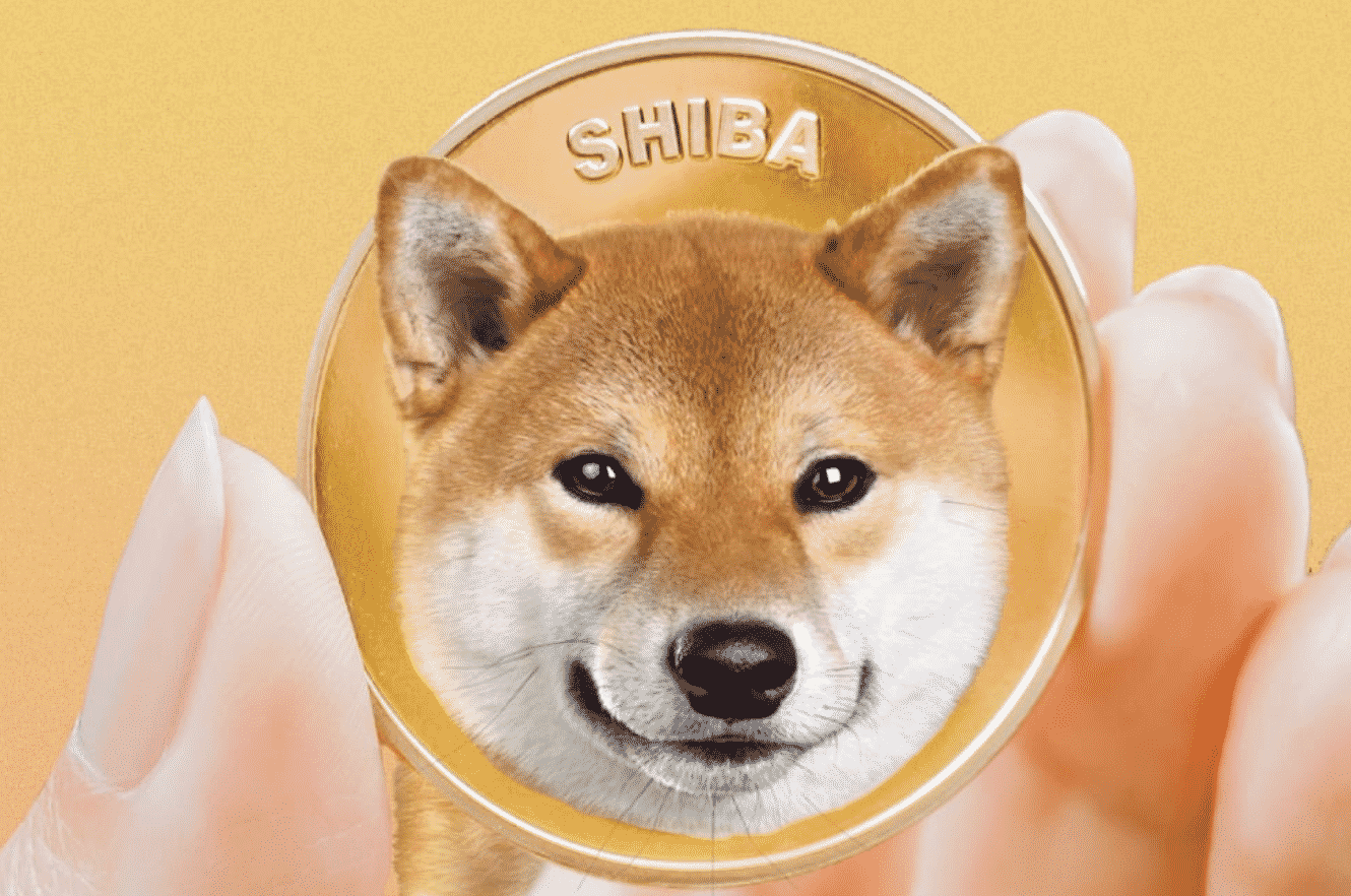 All That You Wanted To Know About Doge Killer Aka Leash Coin