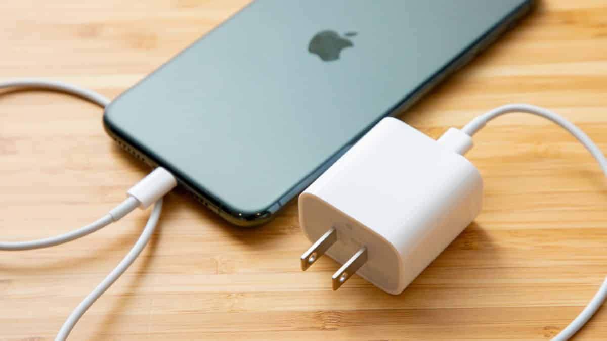 Apple iPhone charger