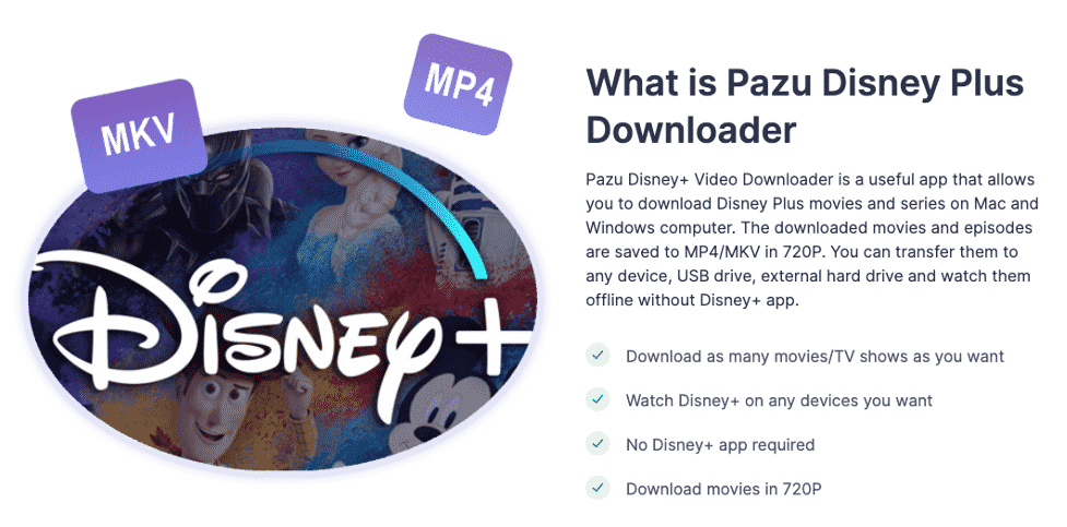 Review of Pazu Downloader for Disney+