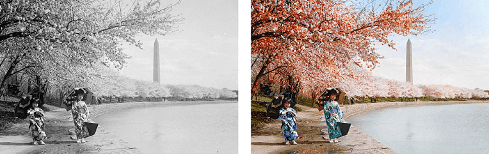 Top 10 Photo Colorizer to Colorize Black and White Photos 2023