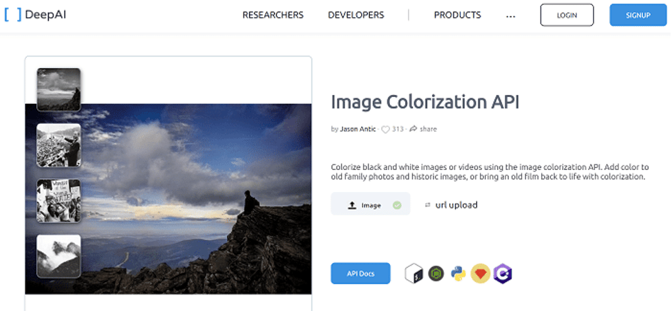 Top 10 Photo Colorizer to Colorize Black and White Photos 2023
