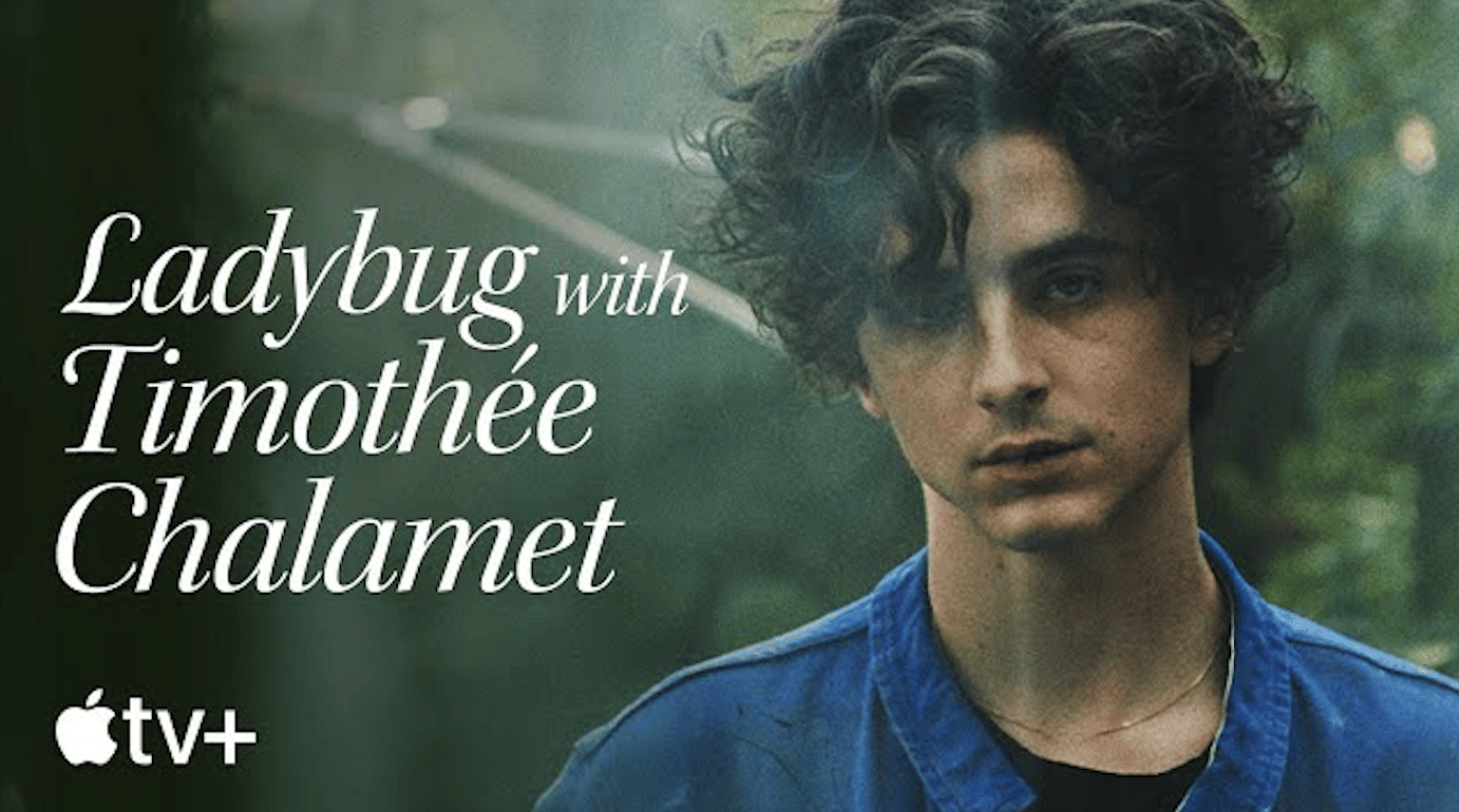 Ladybug with Timothe&eacute; Chalamet