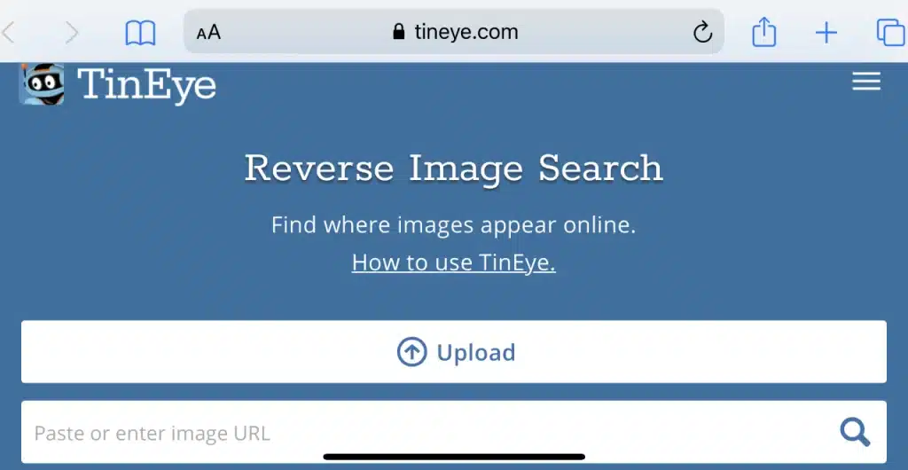 Reverse Image Search: TinEye