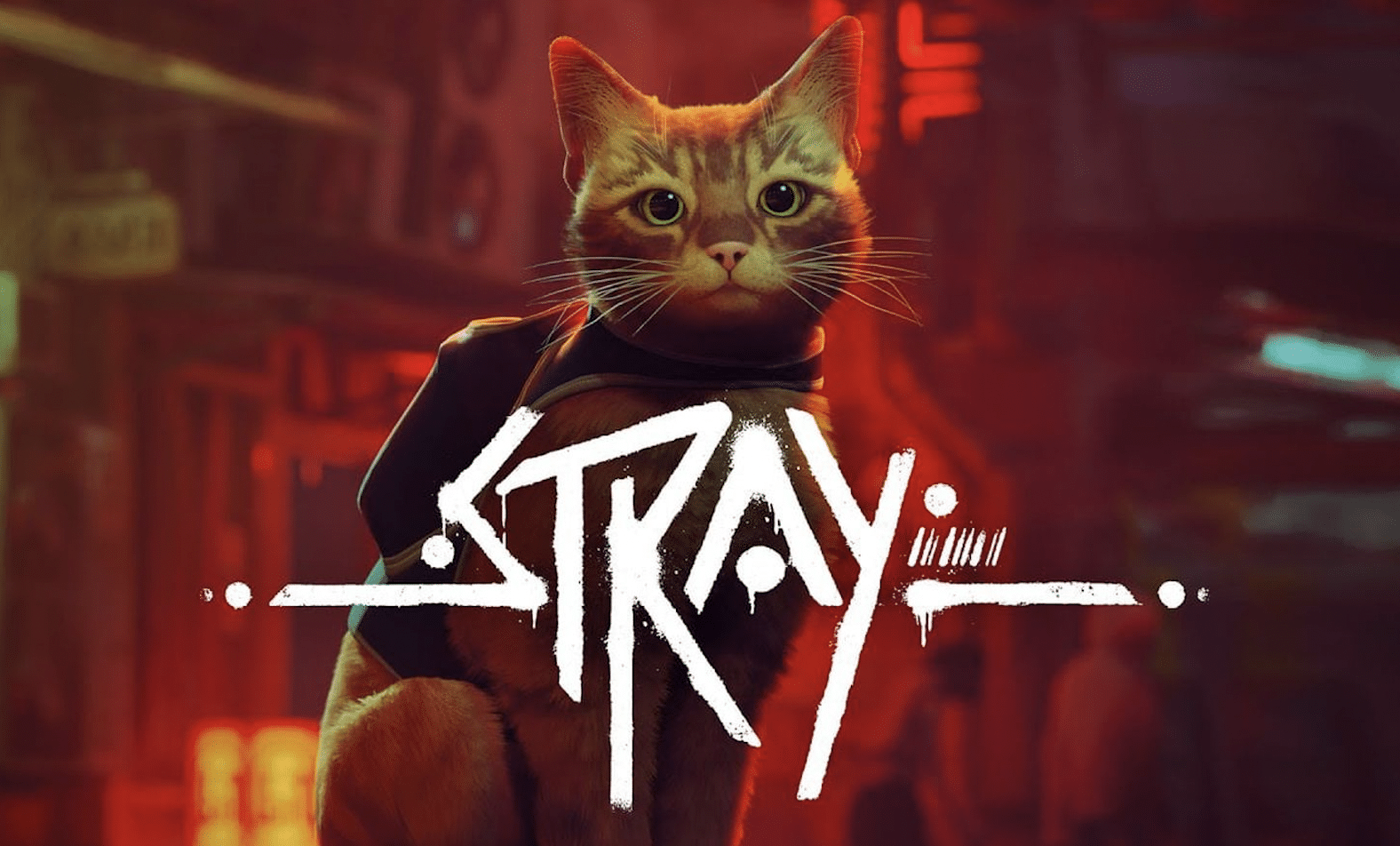 Stray