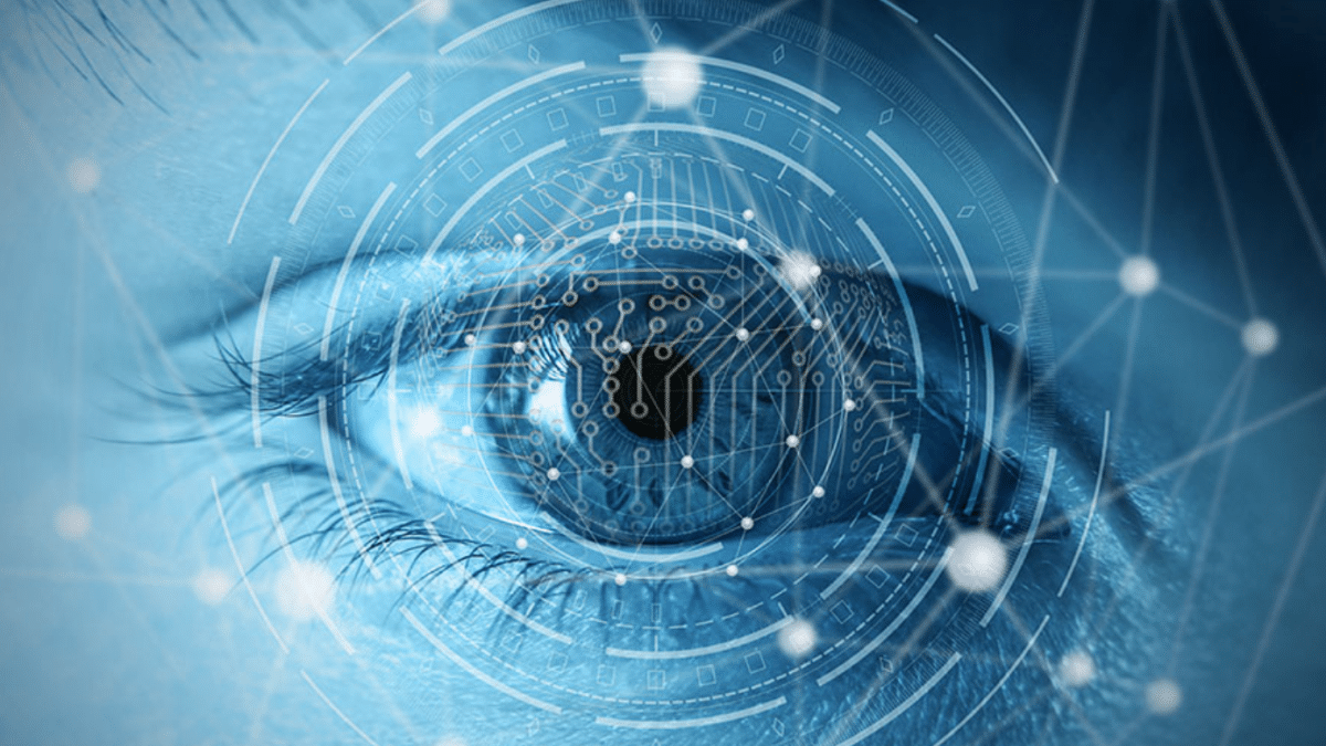 Collaboration and Integration in Computer Vision Projects