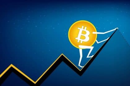 Understanding Bitcoin Price and Analyzing Consumer Behavior in the Market