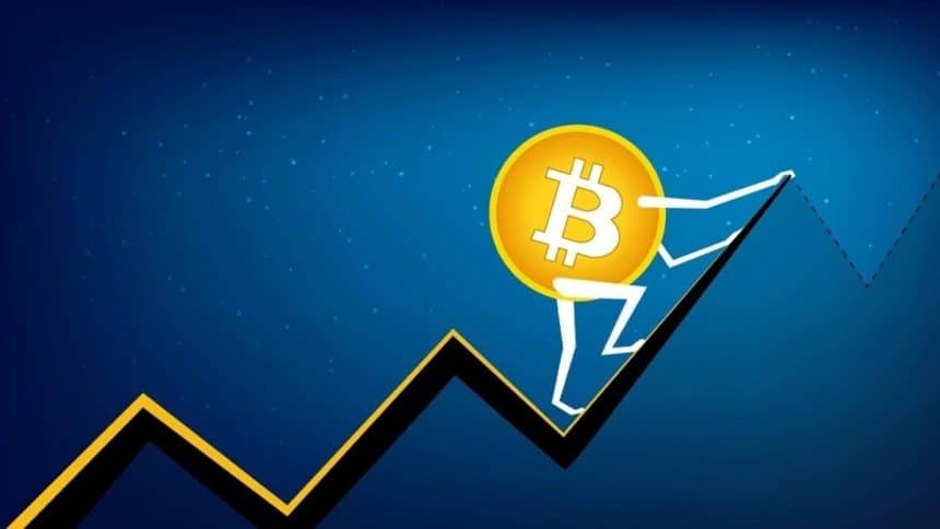 Understanding Bitcoin Price and Analyzing Consumer Behavior in the Market