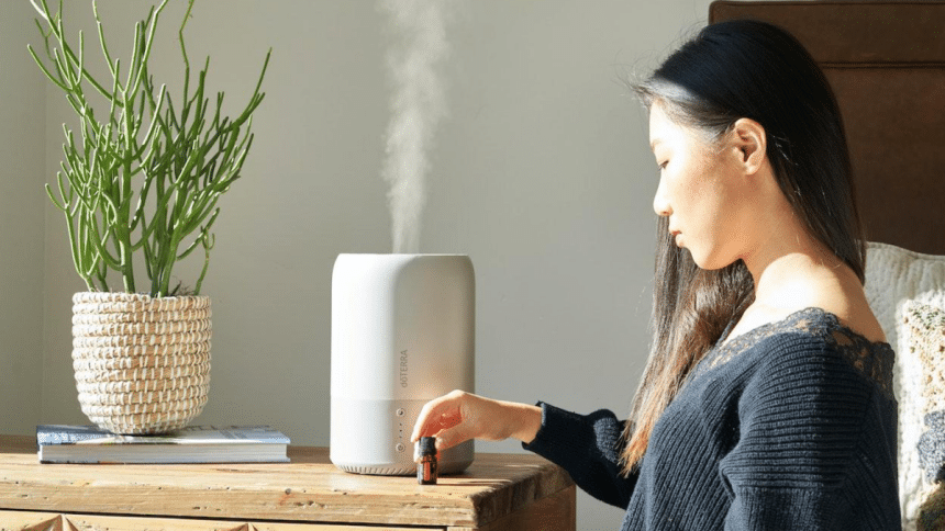 Air Purifier vs. Humidifier Which One is Right for You?