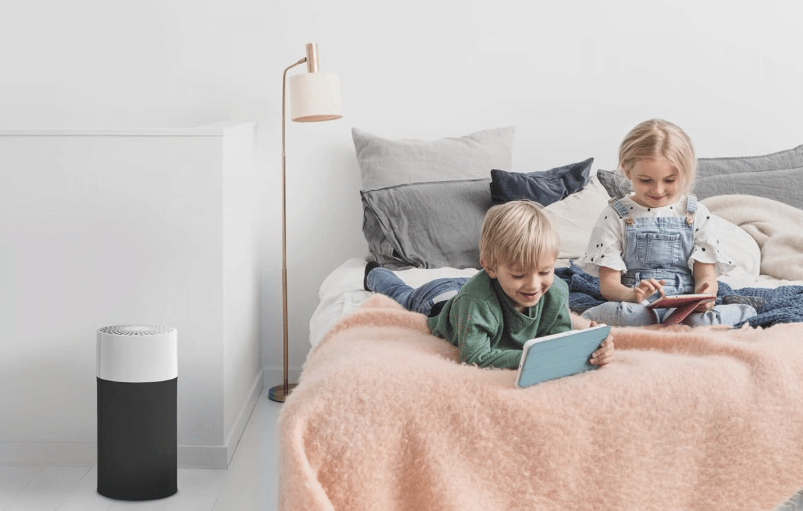 BLUEAIR Air Purifier