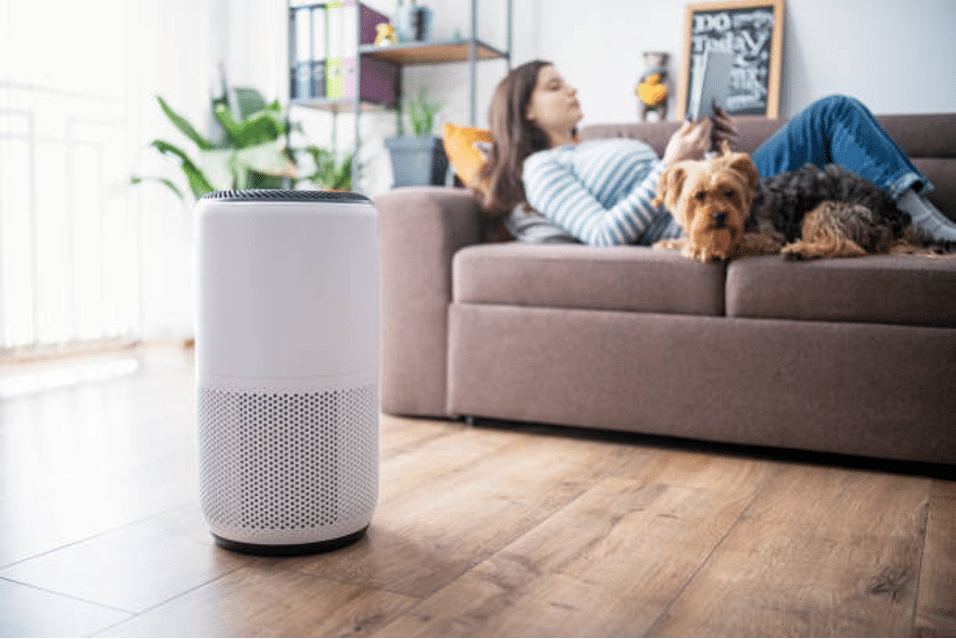 Air Purifier vs. Humidifier: Which One is Right for You?