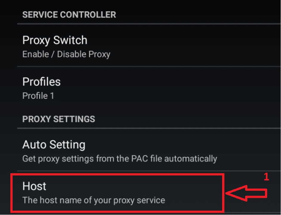 How to set up a proxy server on Android: detailed instructions